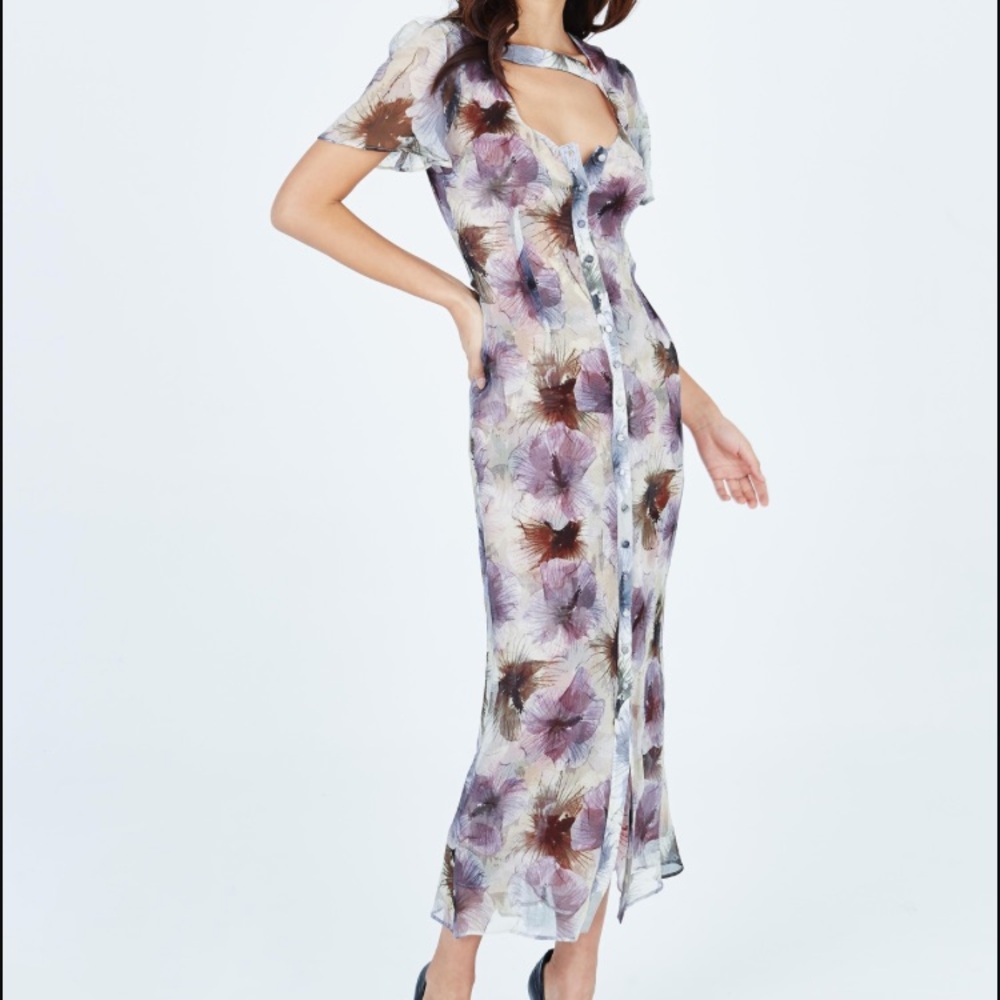 Stone Cold Fox Carnation Dress